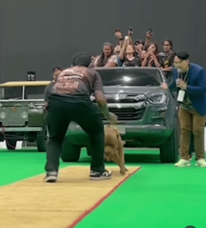 concept of a&nbsp;gym